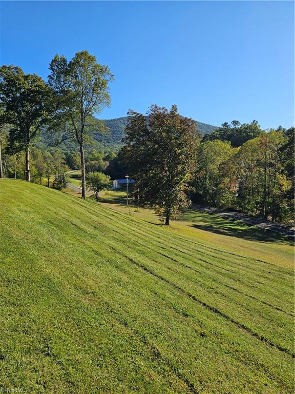 158 Martha Lowe Road Lowgap, NC 27024 - Photo 5 of 33 Gallery Image 5