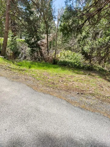 a view of a yard with a tree