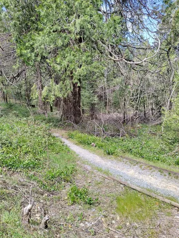 a backyard of a house with a yard and trampoline
