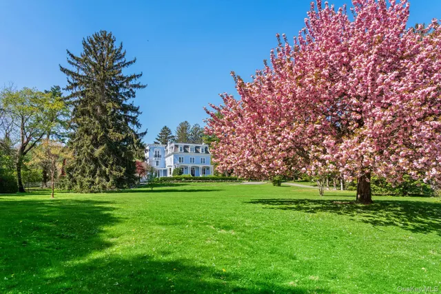 a view of a grassy field with trees