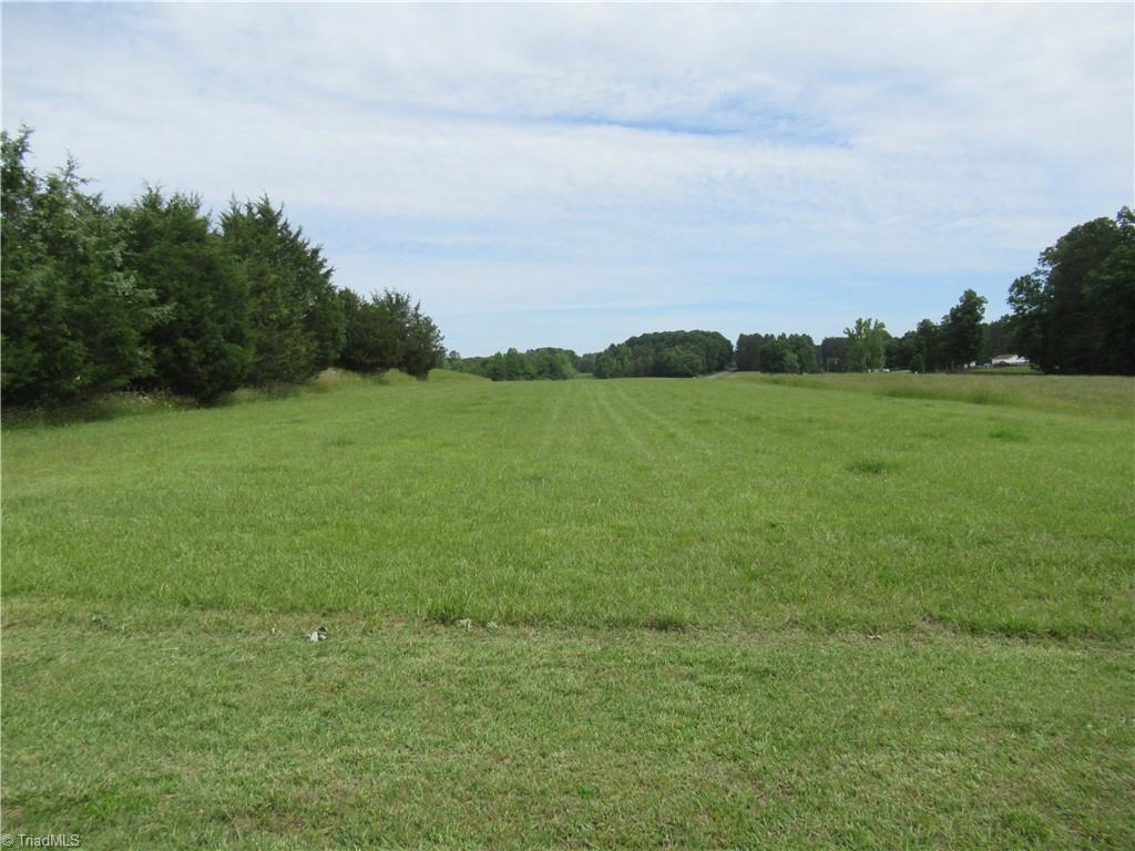 819 Patterson Grove Road Ramseur, NC 27316 - Photo 34 of 37 Yorks Field Airport