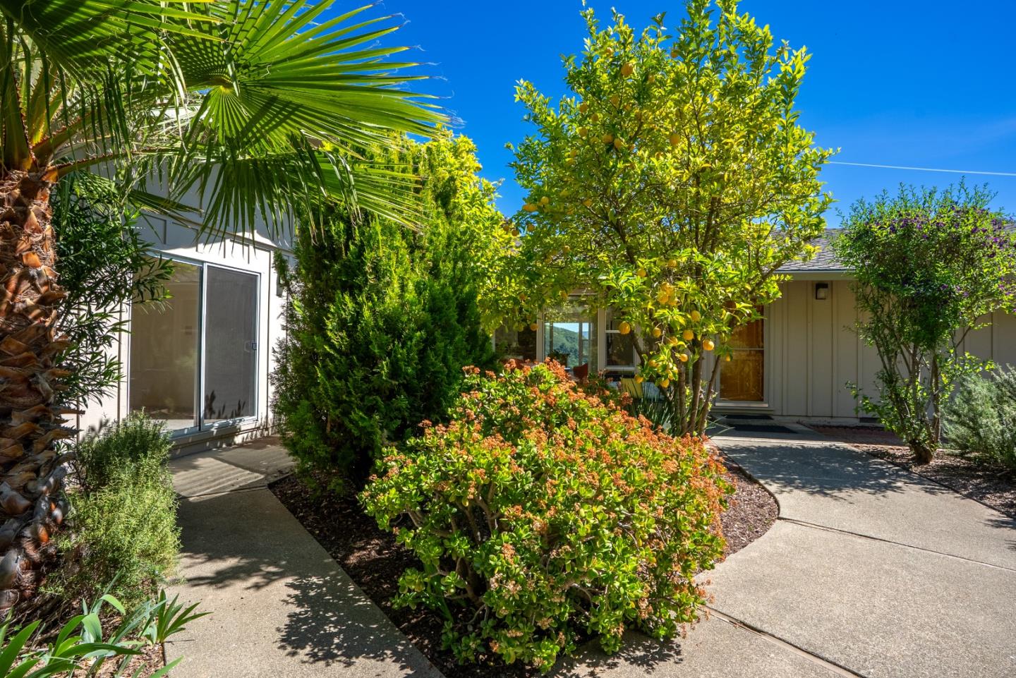 20471 Black Road Los Gatos, CA 95033 - Photo 59 of 105