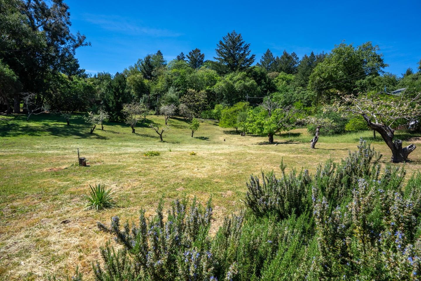20471 Black Road Los Gatos, CA 95033 - Photo 60 of 105