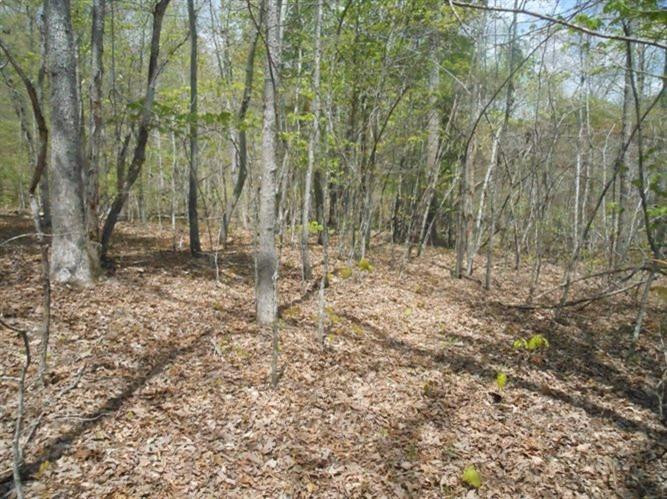 3758 East Fork Road Means, KY 40346 - Photo 20 of 30 Photo 20