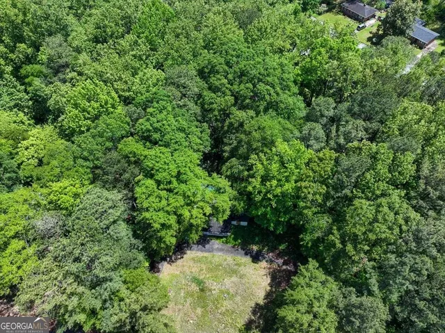 a view of a lush green forest