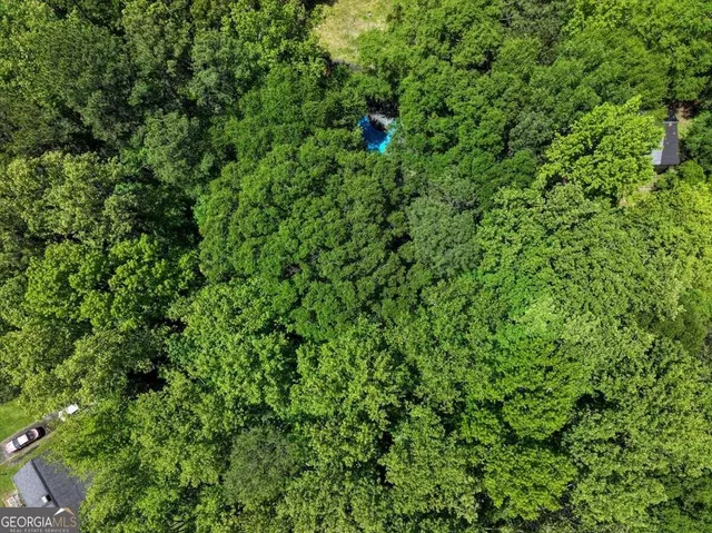 a view of a lush green forest