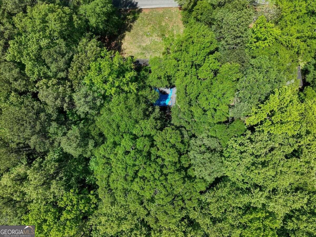 731 Bolton Road Northwest Atlanta, GA 30331 - Photo 7 of 7 a view of a lush green forest