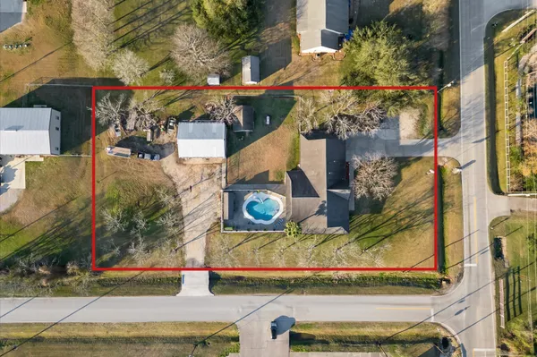 an outdoor space with lots of palm trees