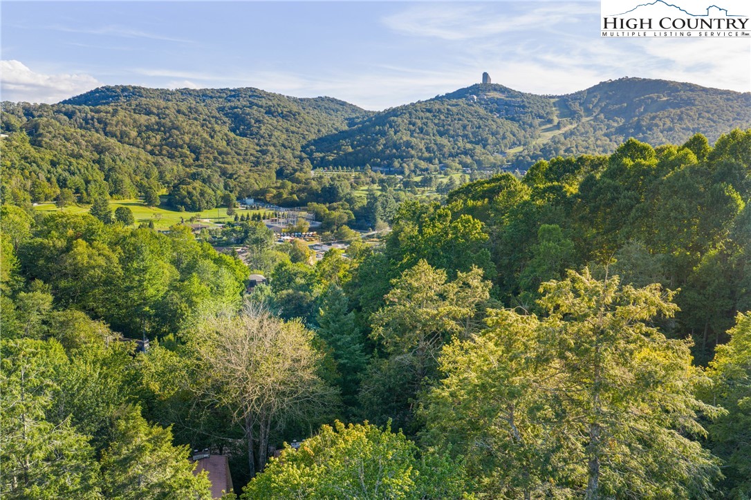 102 Hemlock Hill Road, Unit C Banner Elk, NC 28604 - Photo 20 of 22 a view of a lush green field with mountains in the background