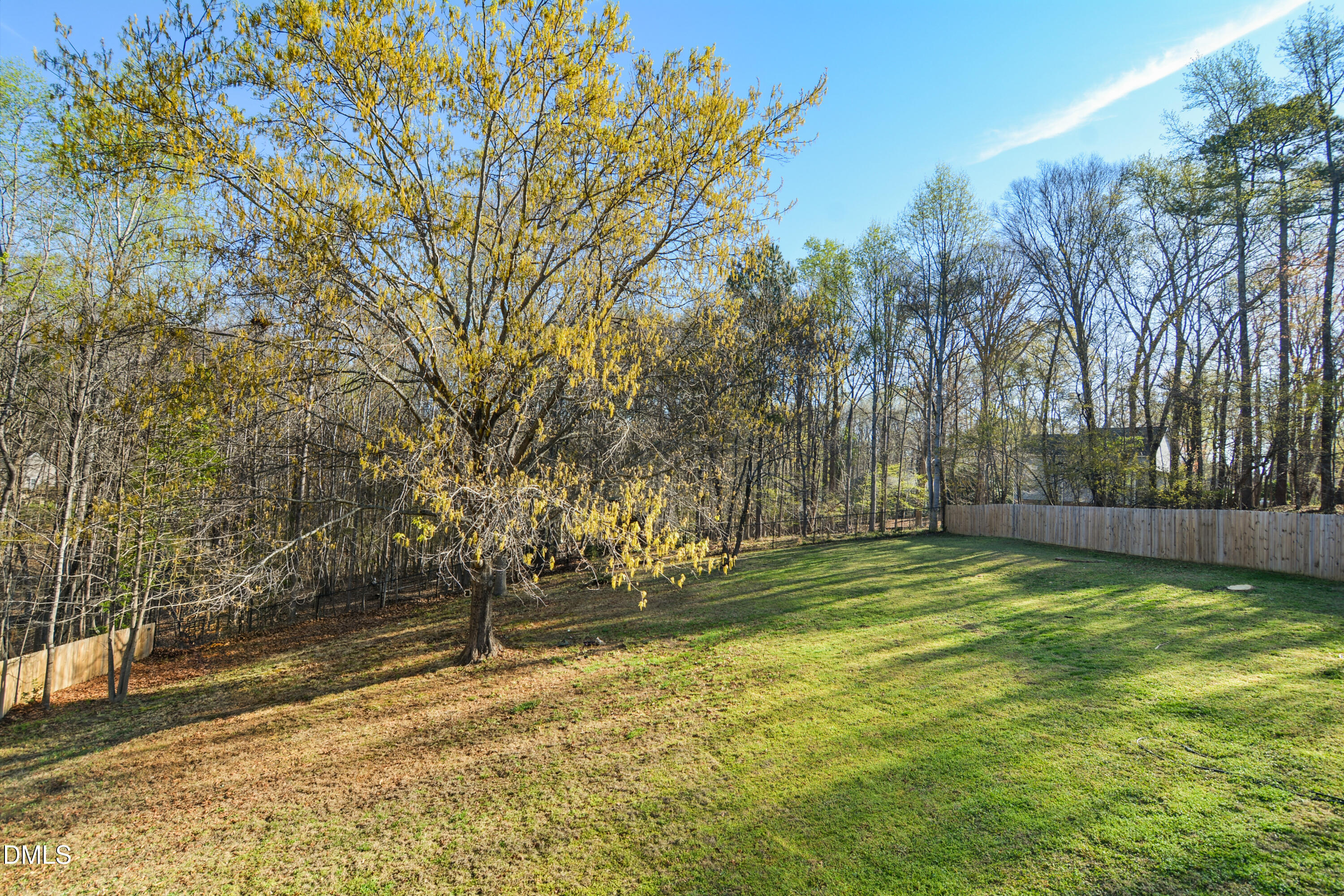 4801 Topstone Road Raleigh, NC 27603 - Photo 28 of 29 a view of a yard with trees