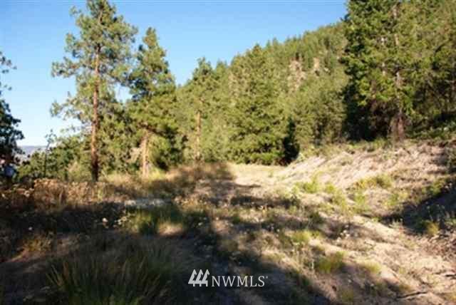 0 Upper Ridge Road Chelan, WA 98816 - Photo 4 of 6 Gallery Image 4
