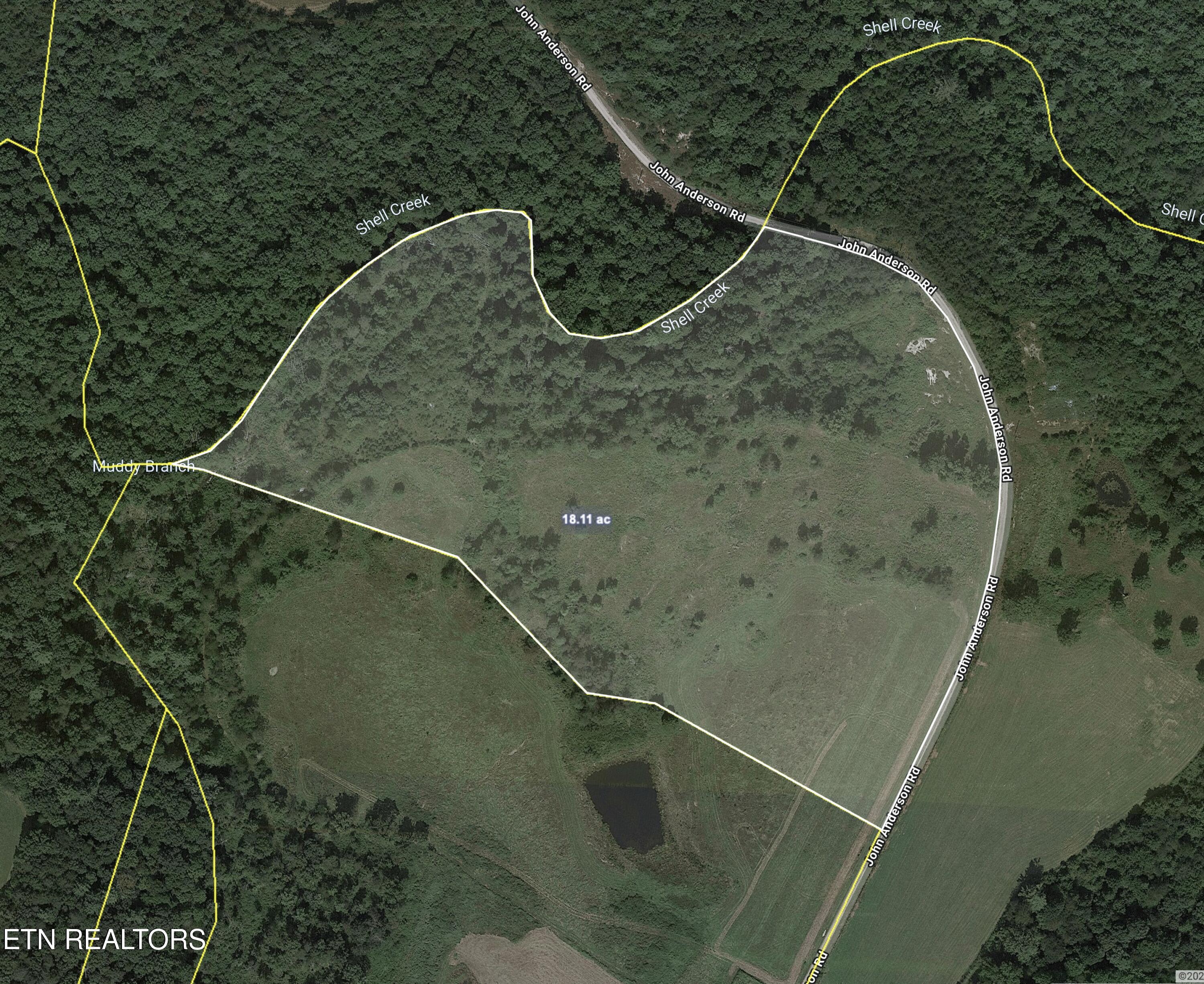 Screenshot 2026-02-04 at 12.36.28PM