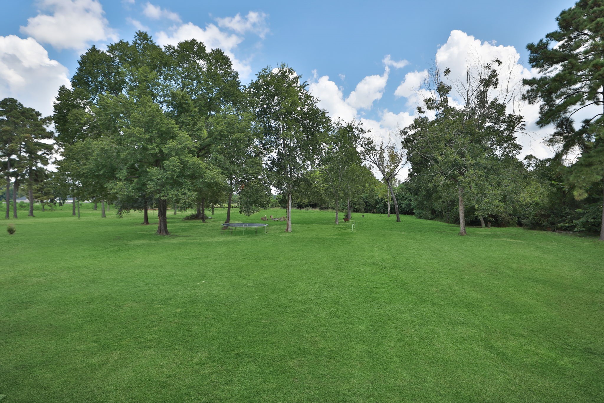 1400 Hicks Street Tomball, TX 77375 - Photo 43 of 45 a view of a park with large trees