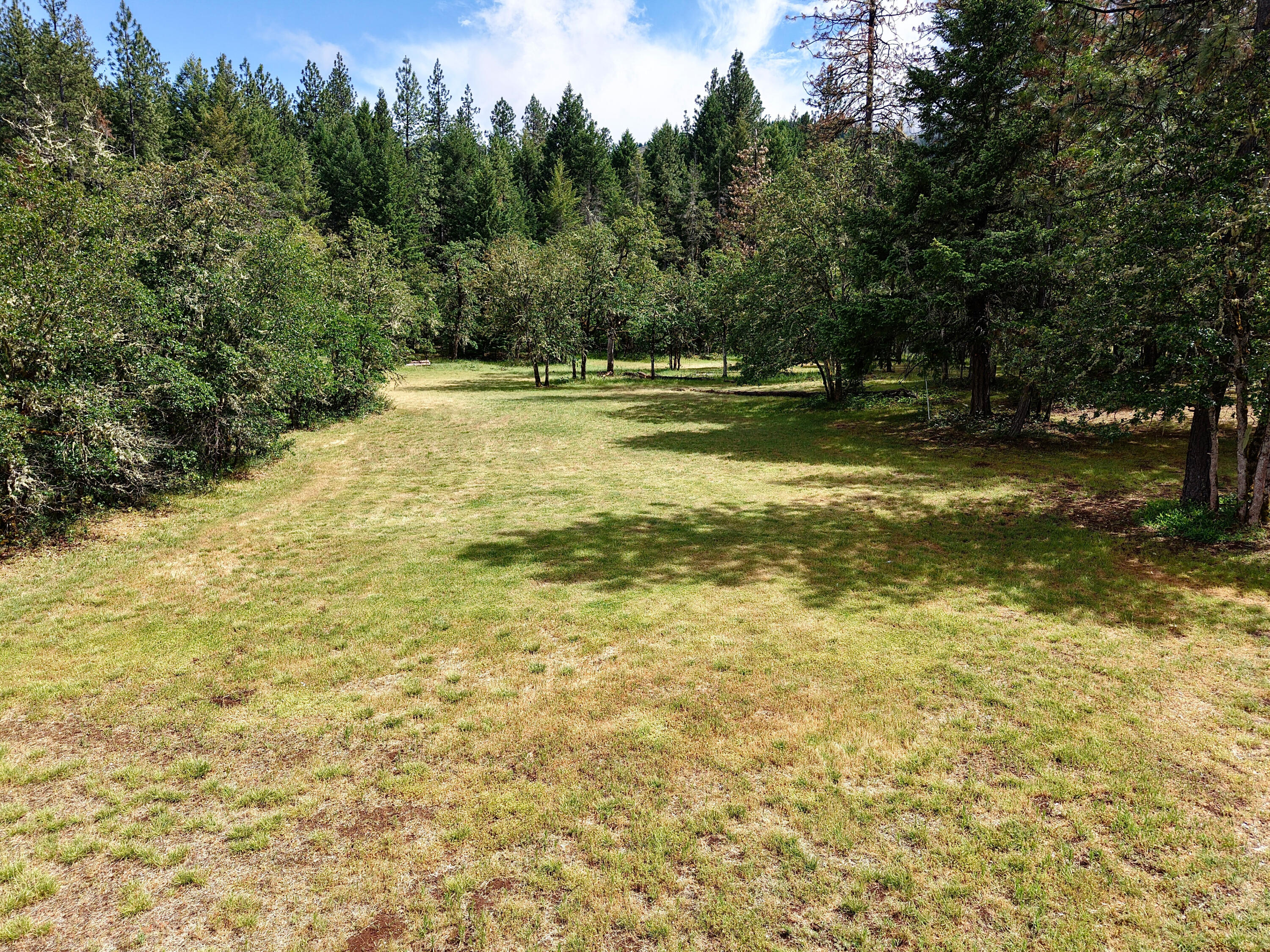 42256 Highway 62 Prospect, OR 97536 - Photo 32 of 48 a view of a yard with a trees