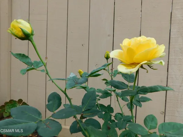 $4,500 | 4887 Santo Drive, Oak Park, CA 91377