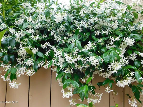 $4,500 | 4887 Santo Drive, Oak Park, CA 91377