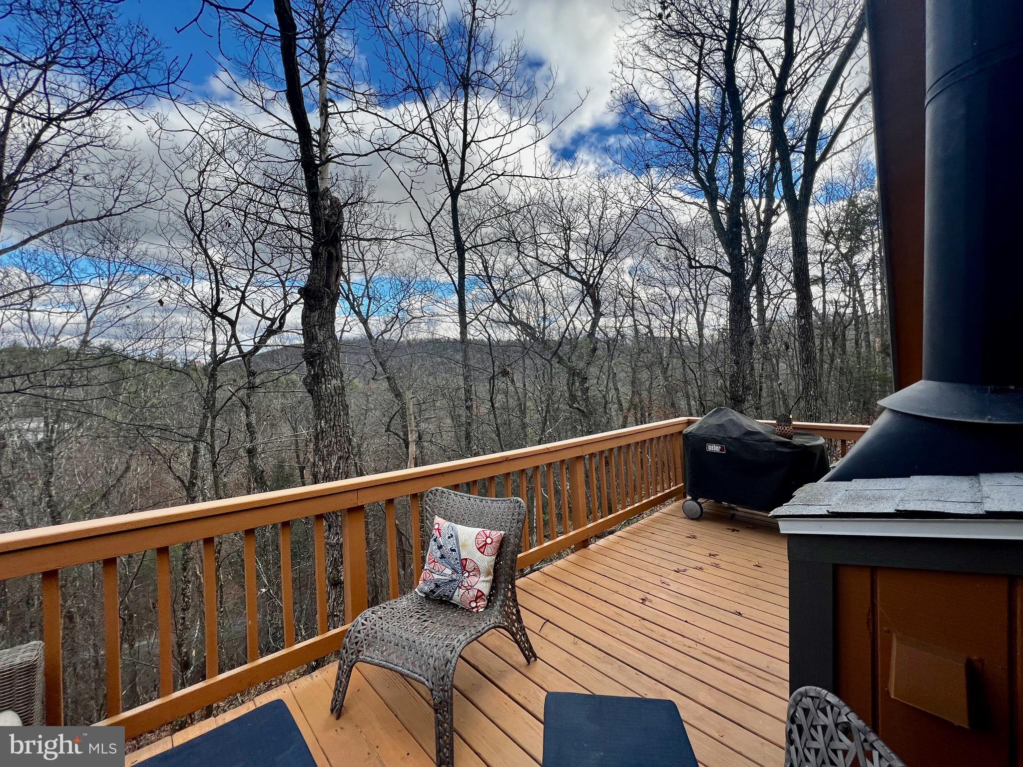 993 South Maple Road Mount Jackson, VA 22842 - Photo 12 of 36 Main Deck