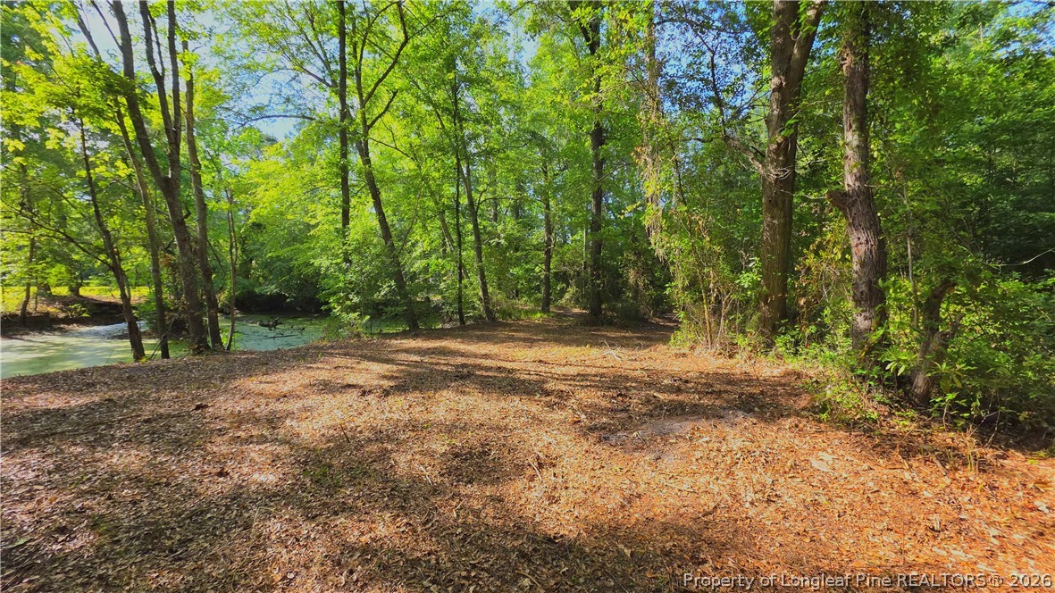 3524 Pine Log Road Lumberton, NC 28360 - Photo 40 of 42 a view of outdoor space with trees
