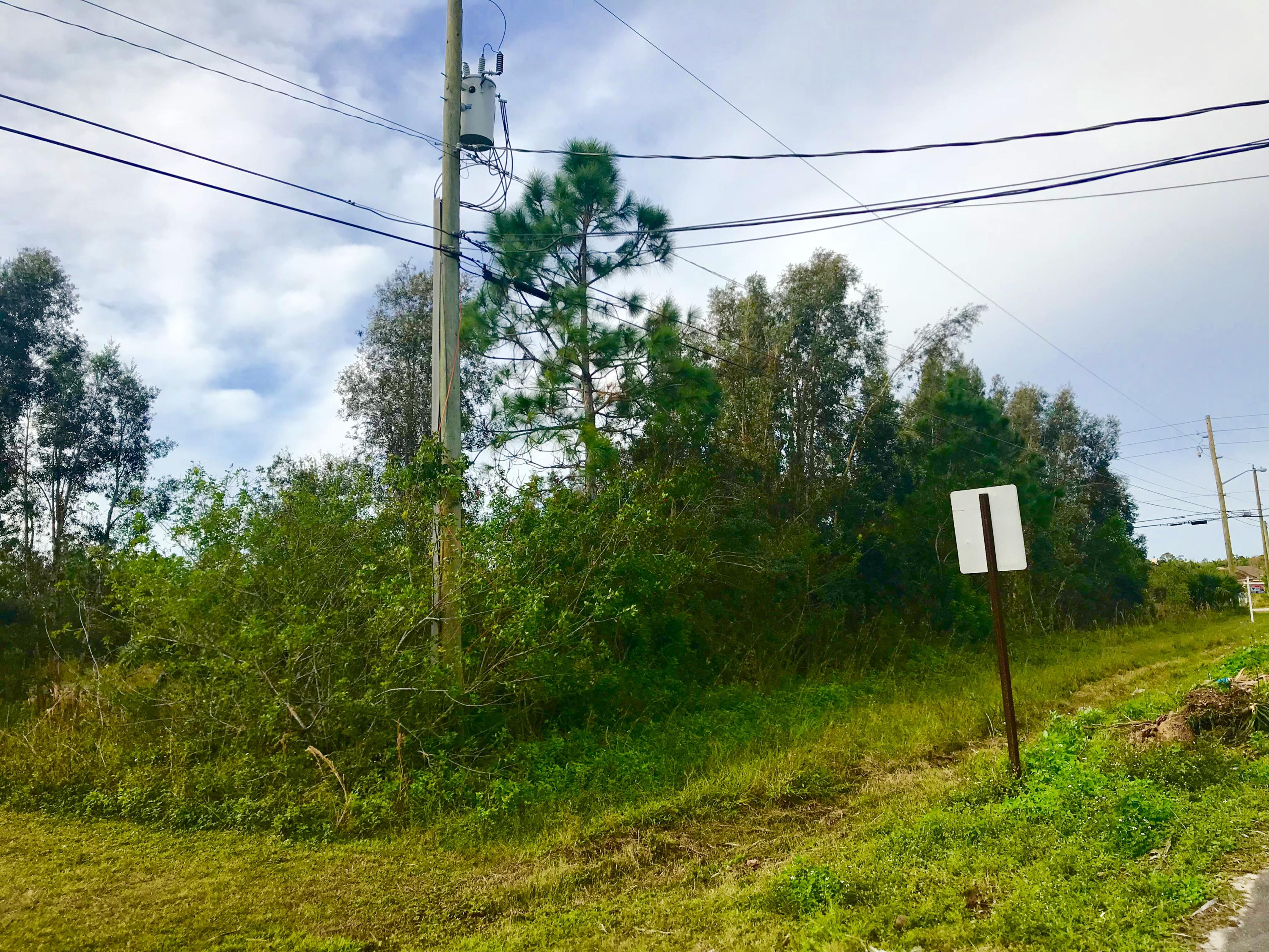 Xx 85th Road North Loxahatchee, FL 33470 - Photo 11 of 18 fullsizeoutput_aae0