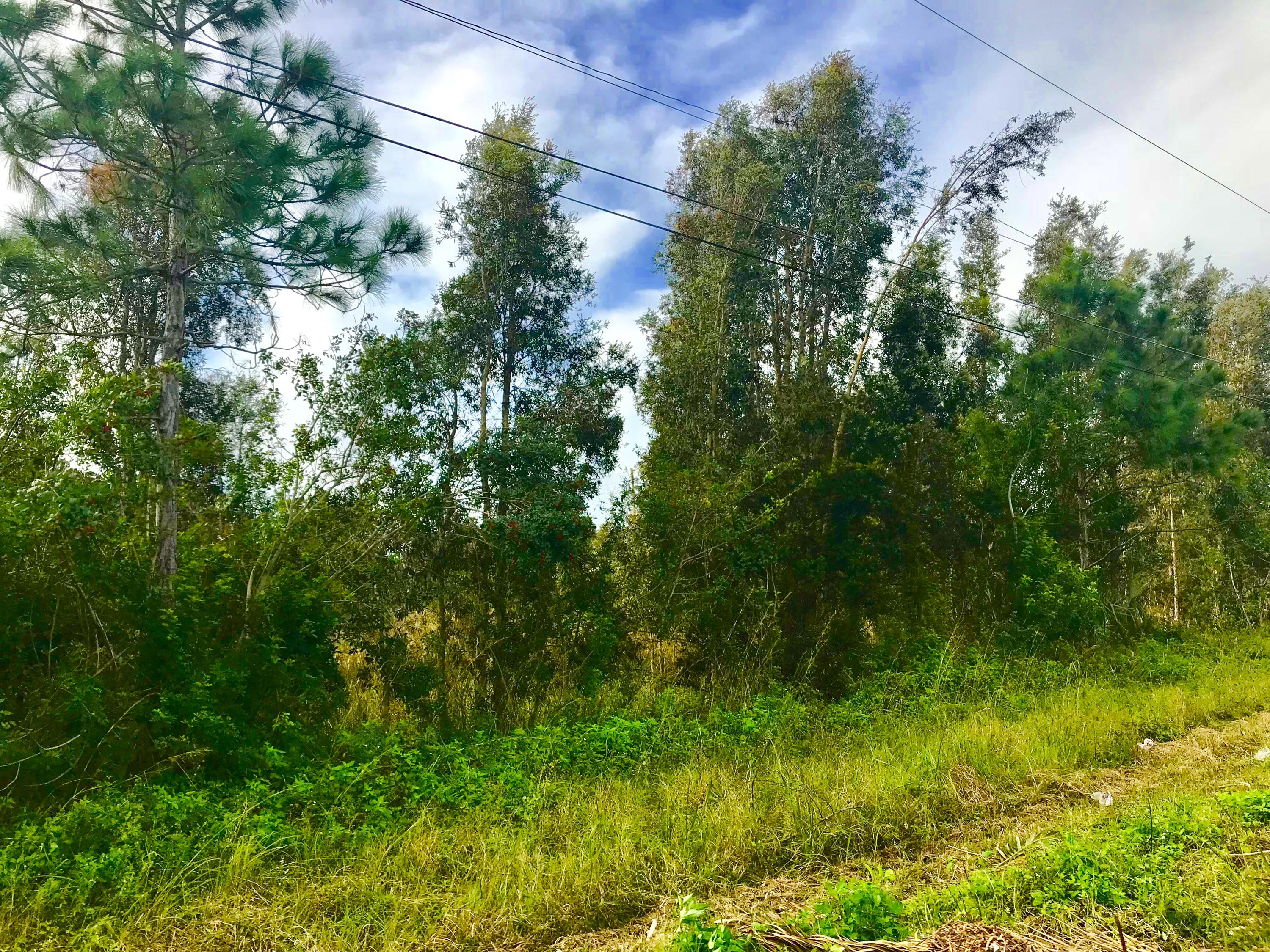 Xx 85th Road North Loxahatchee, FL 33470 - Photo 8 of 18 fullsizeoutput_aae2
