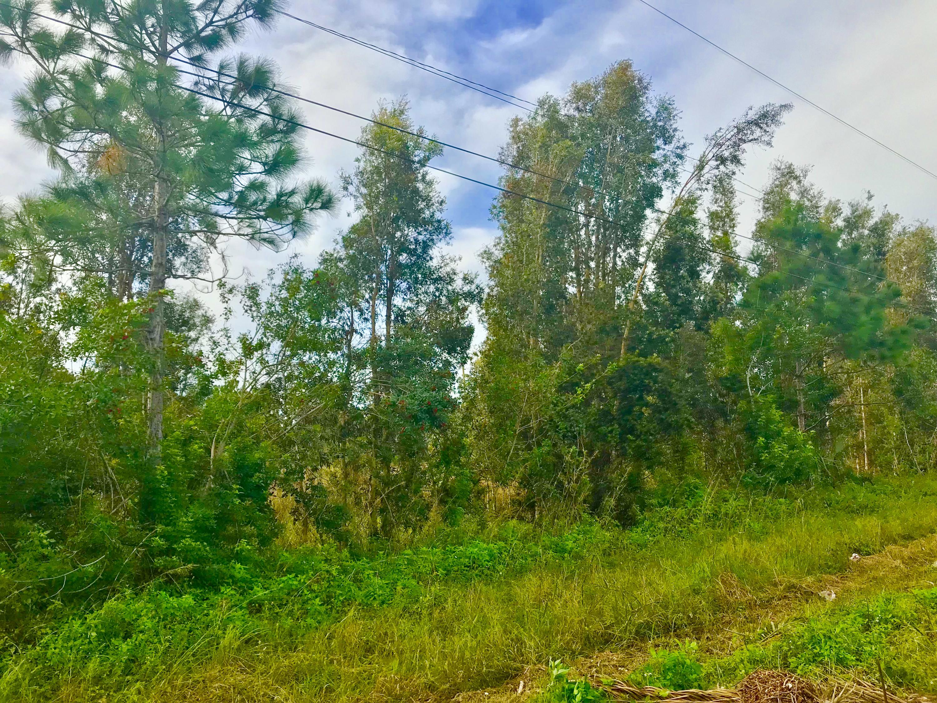 Xx 85th Road North Loxahatchee, FL 33470 - Photo 9 of 18 fullsizeoutput_aad9
