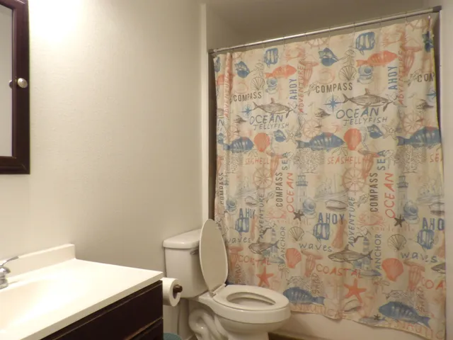 a white toilet sitting next to a shower curtain