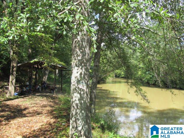 79 Highway 79, Unit 33 Cleveland, AL 35049 - Photo 8 of 32