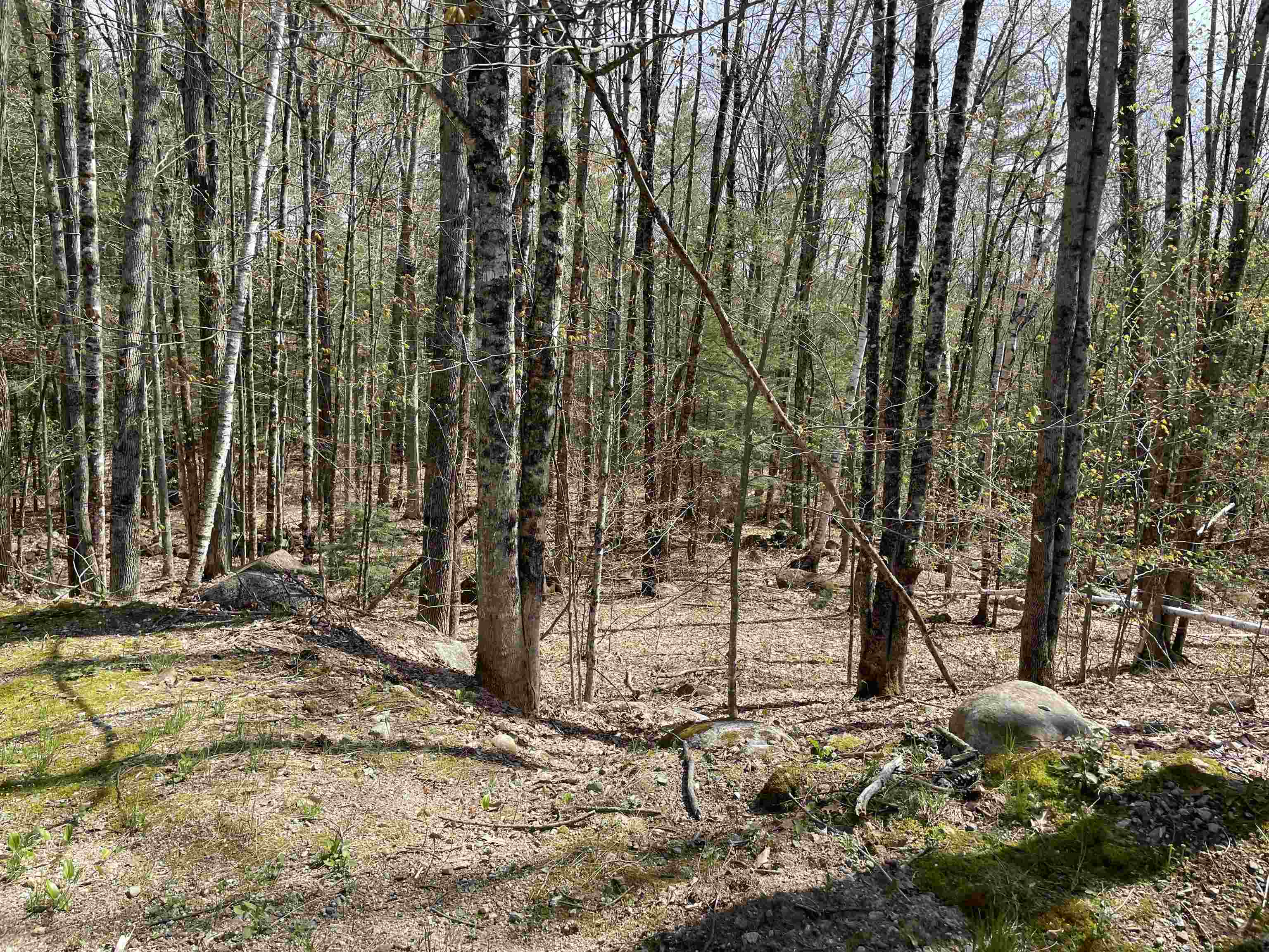 74 Maple Ridge Road Sandwich, NH 03259 - Photo 27 of 40