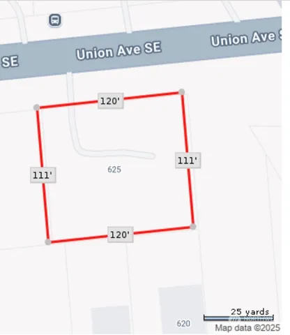 a view of a backyard with plants and trees