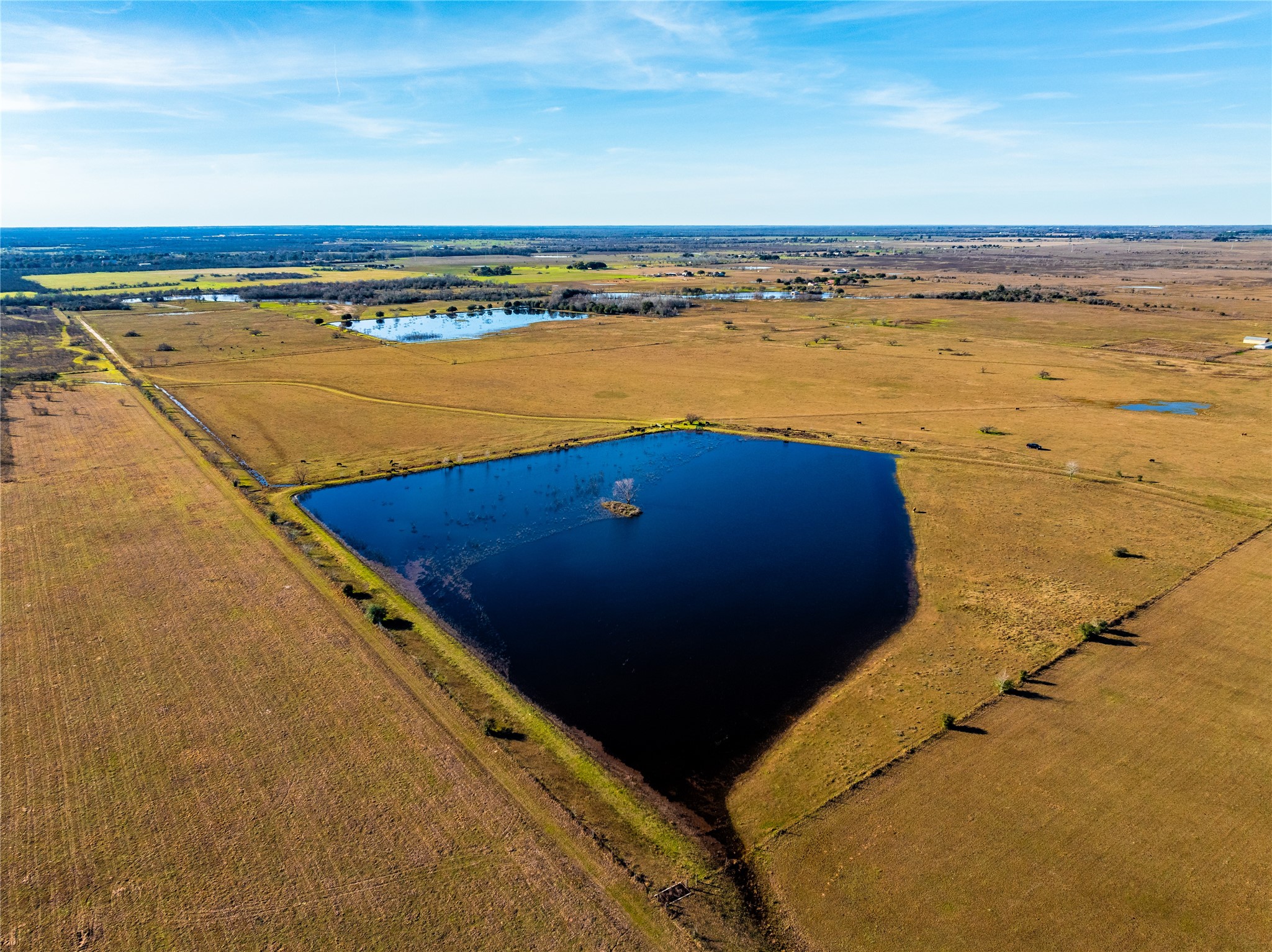 36067 Repka Road Waller, TX 77484 - Photo 11 of 14