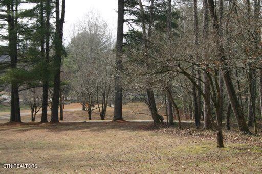 3002 West Gallaher Ferry Road Knoxville, TN 37932 - Photo 4 of 54