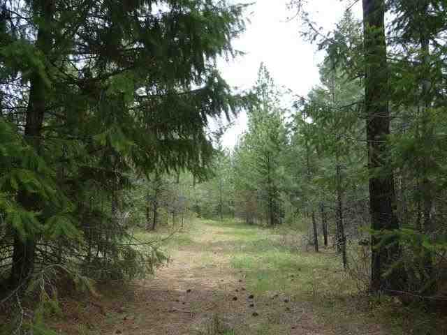 4440 Cemetery Road Springdale, WA 99173 - Photo 1 of 1