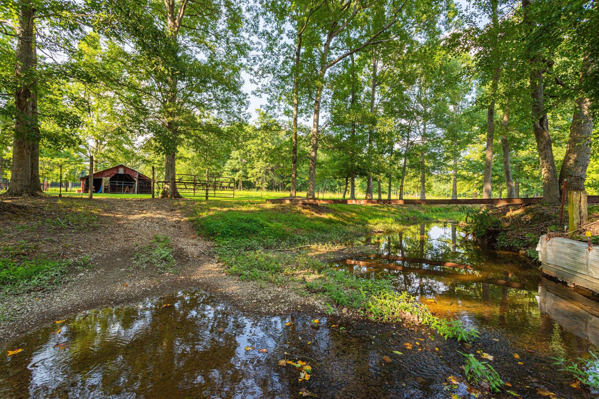 645 C Anderson Road Manchester, TN 37355 - Photo 3 of 47 a view of backyard with green space