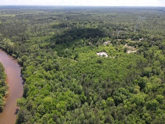 Tbd 37-ac Old River Road Baker, FL 32531 - Photo 19 of 41 an aerial view of forest