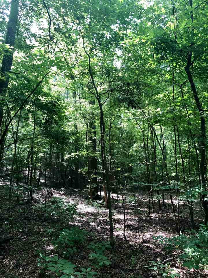 220 Pea Ridge Road Forest, MS 39074 - Photo 14 of 19 Photo 14