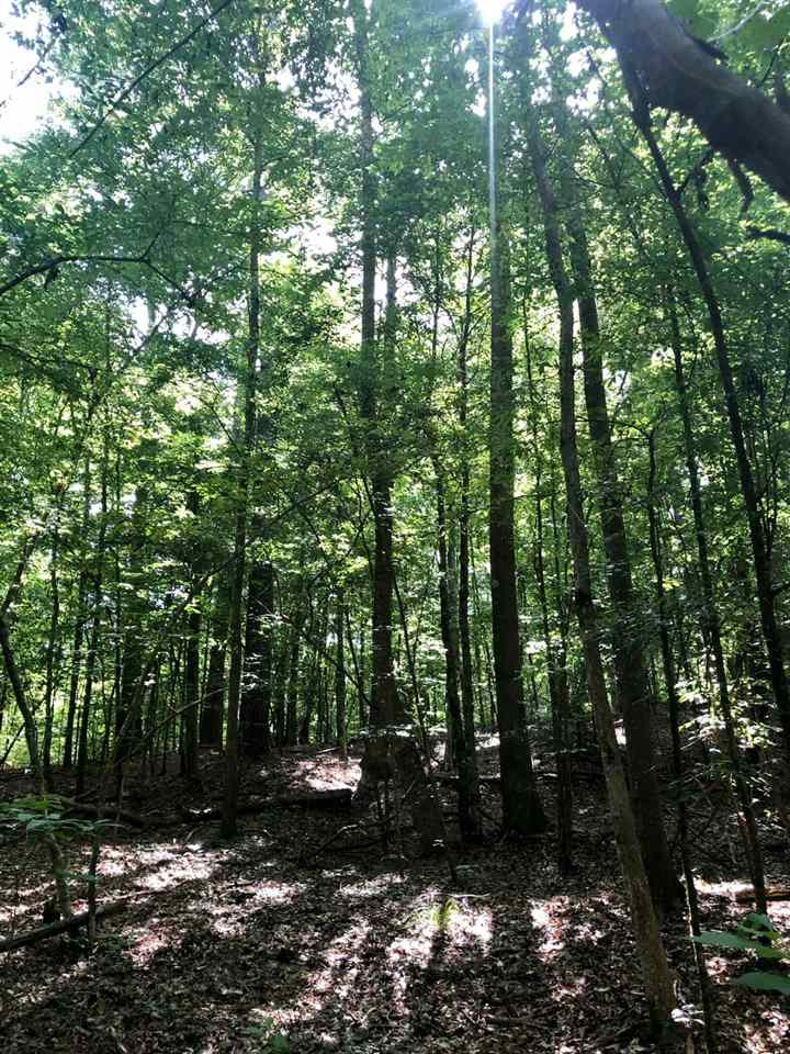 220 Pea Ridge Road Forest, MS 39074 - Photo 15 of 19 Photo 15