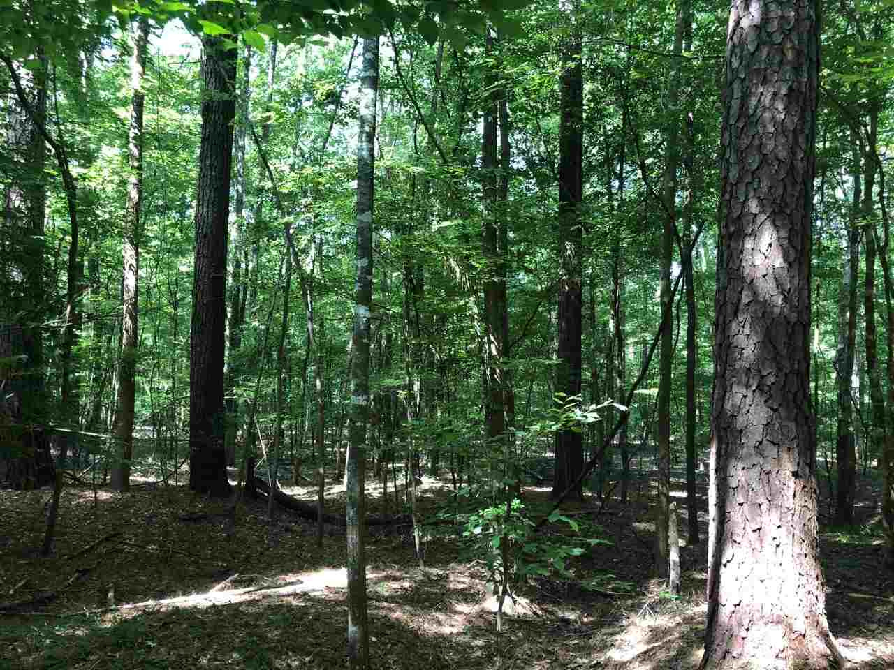 220 Pea Ridge Road Forest, MS 39074 - Photo 16 of 19 Photo 16