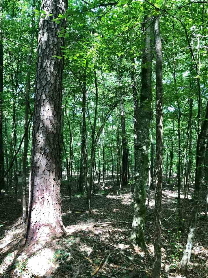 220 Pea Ridge Road Forest, MS 39074 - Photo 17 of 19 Photo 17