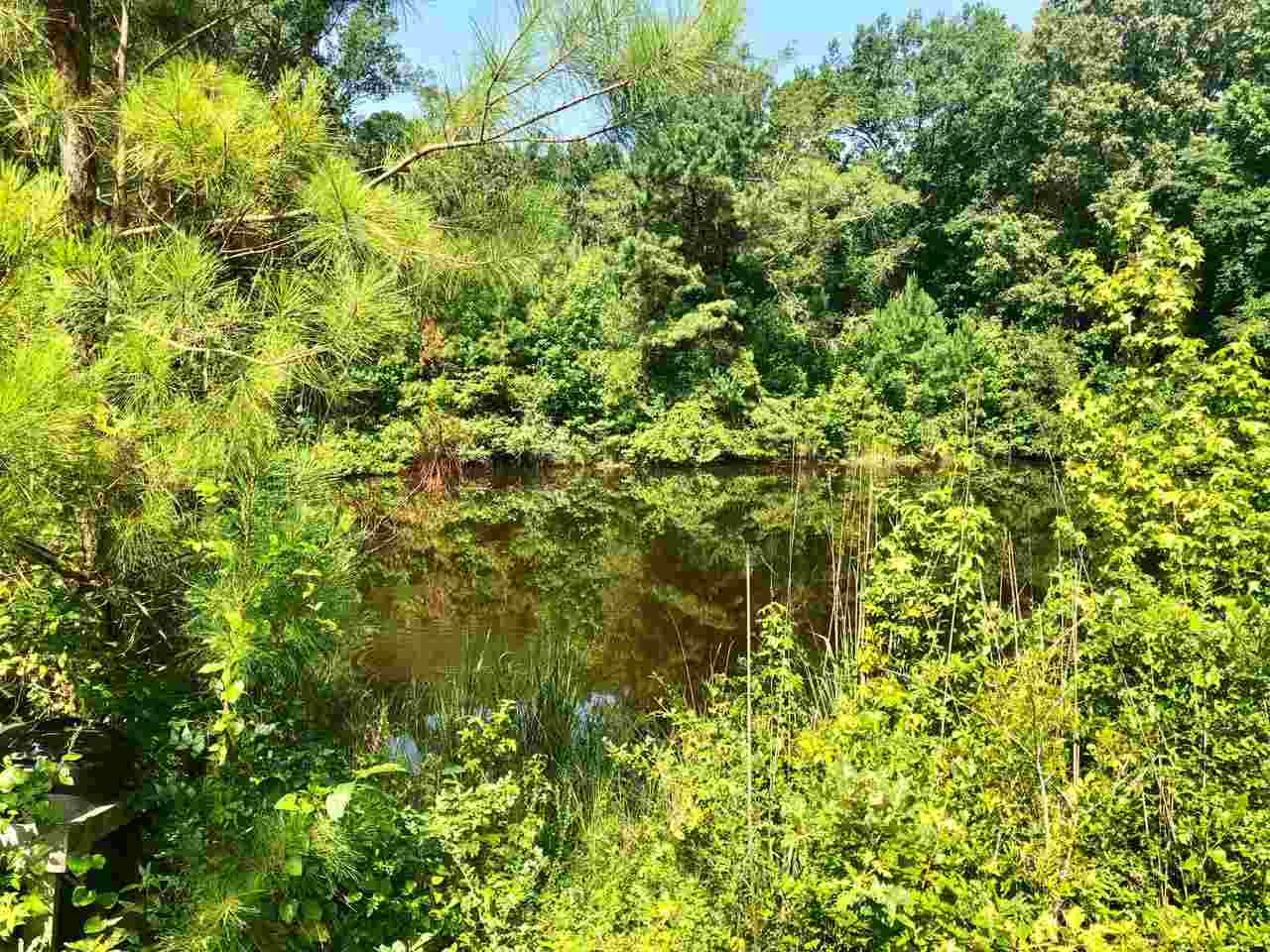 220 Pea Ridge Road Forest, MS 39074 - Photo 18 of 19 Photo 18