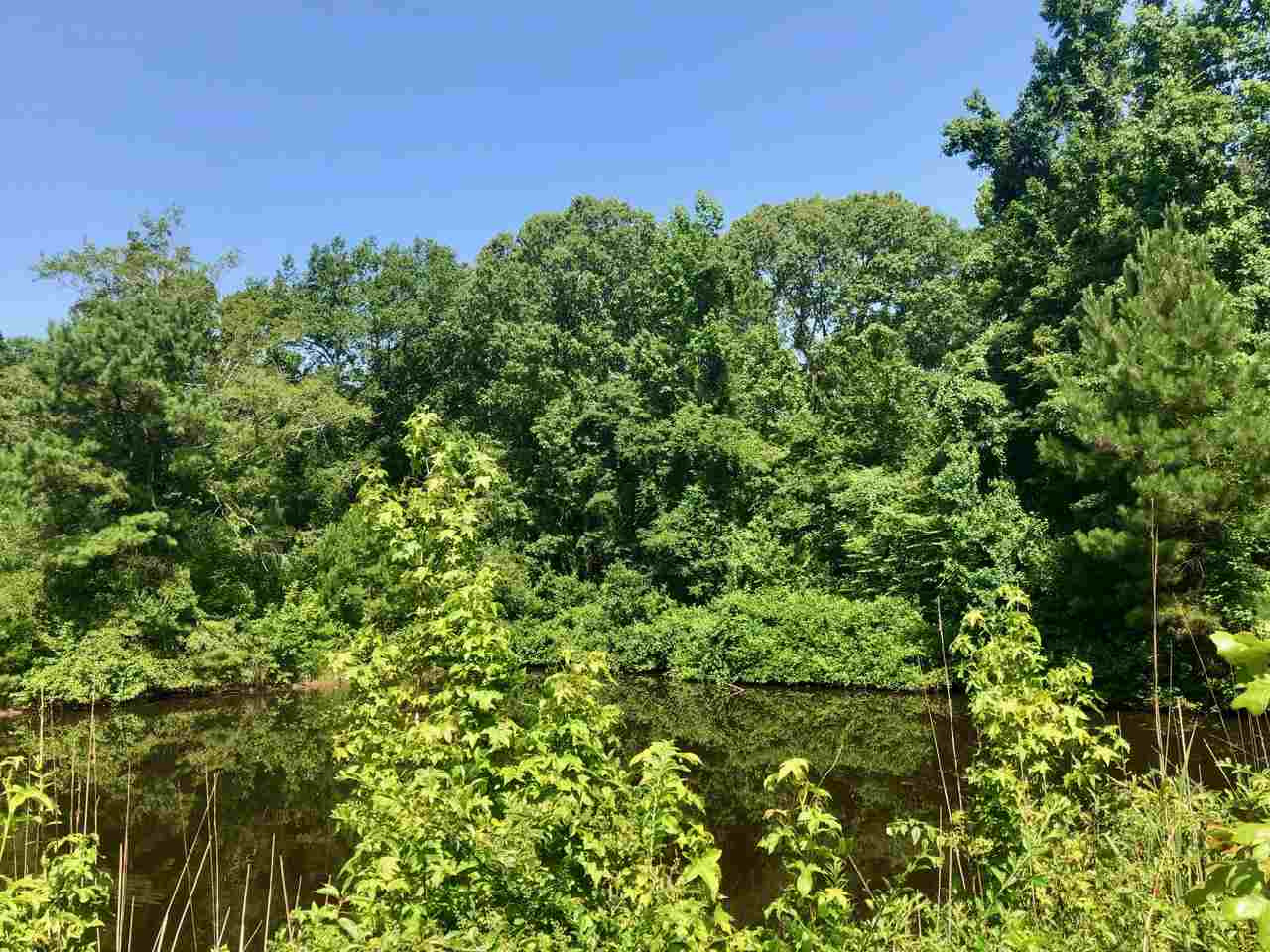 220 Pea Ridge Road Forest, MS 39074 - Photo 19 of 19 Photo 19