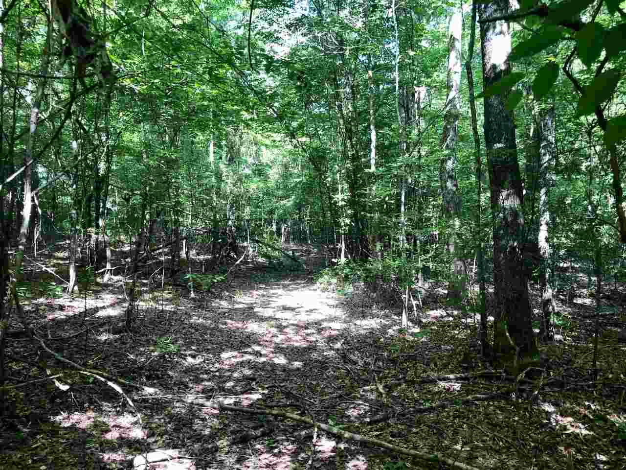 220 Pea Ridge Road Forest, MS 39074 - Photo 8 of 19 Photo 8