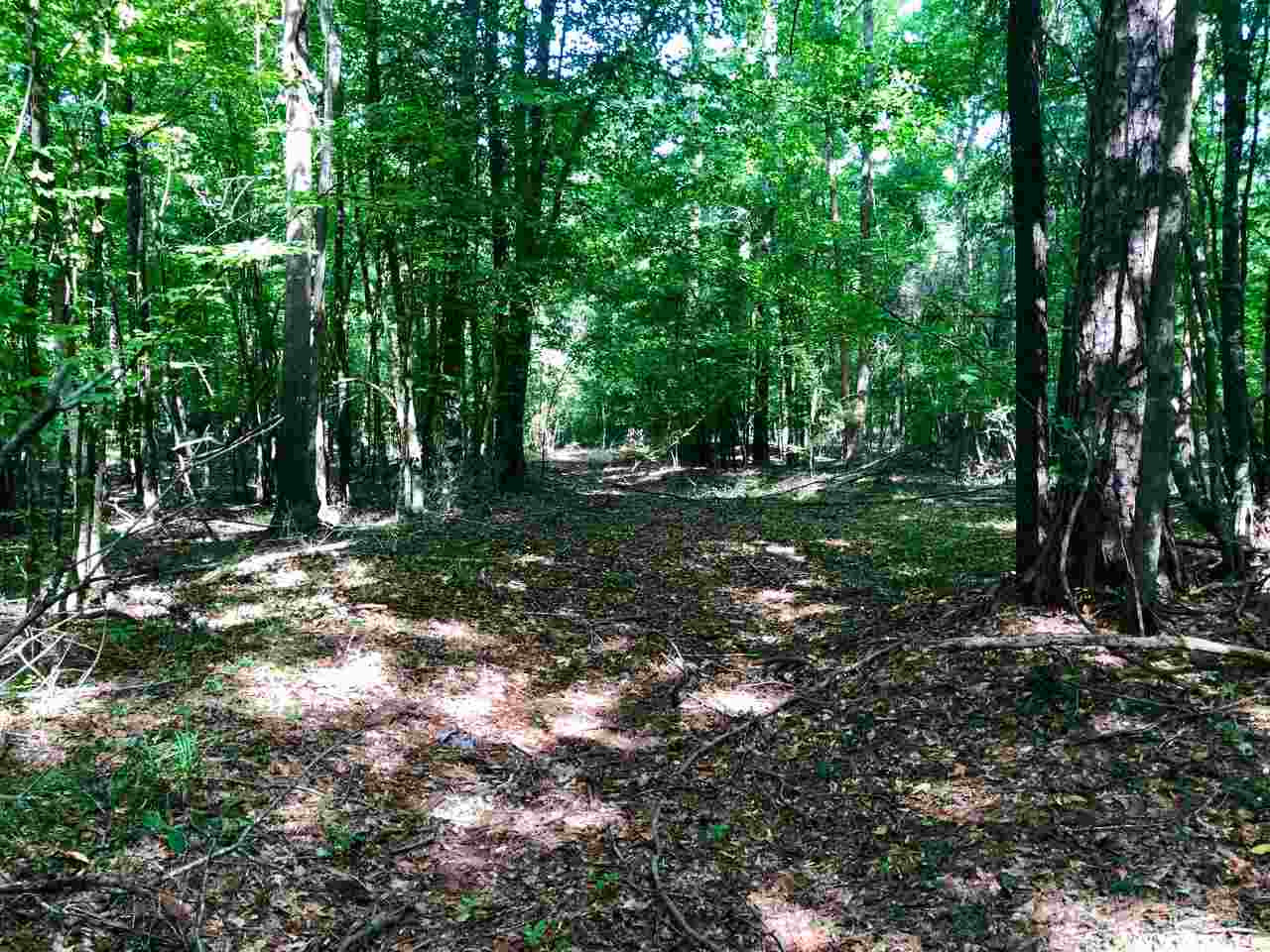 220 Pea Ridge Road Forest, MS 39074 - Photo 10 of 19 Photo 10