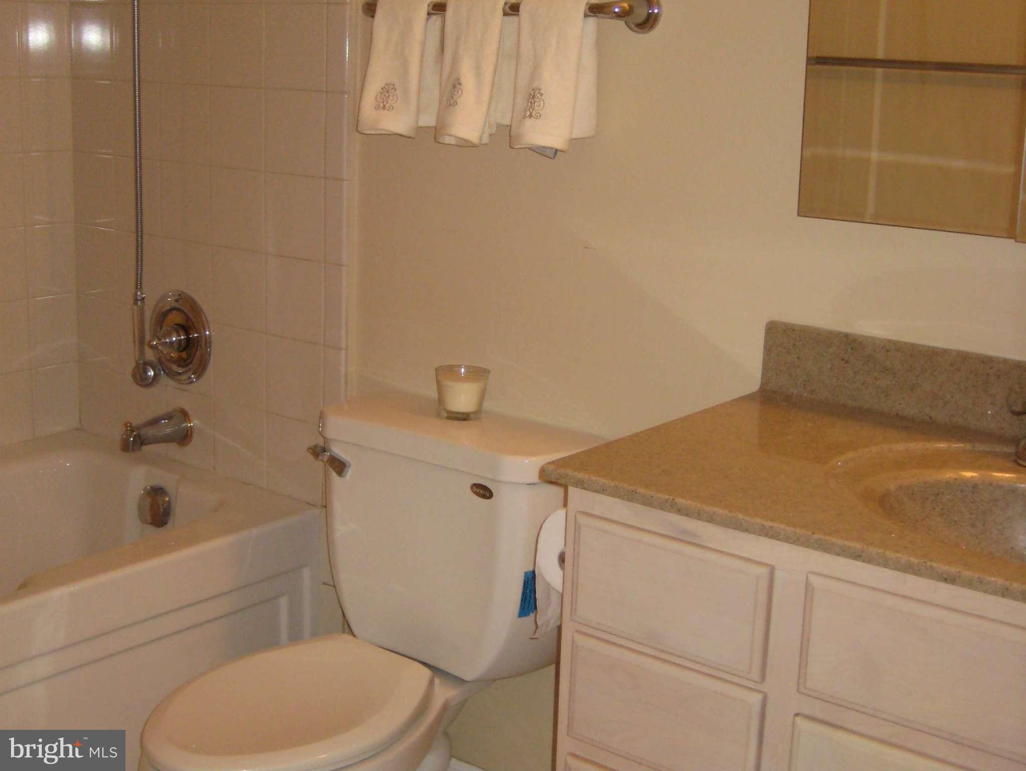 2226 Hunter's Run Drive, Unit 2226 Reston, VA 20191 - Photo 17 of 26 a bathroom with a sink a toilet and bathtub