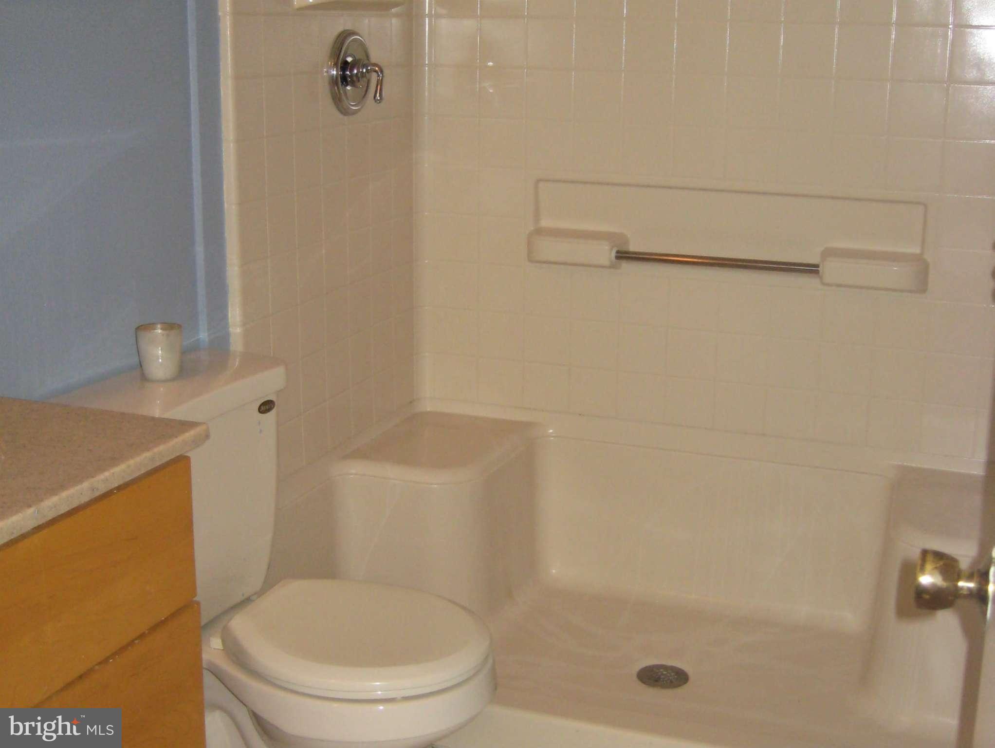 2226 Hunter's Run Drive, Unit 2226 Reston, VA 20191 - Photo 19 of 26 a white toilet sitting next to a bath tub