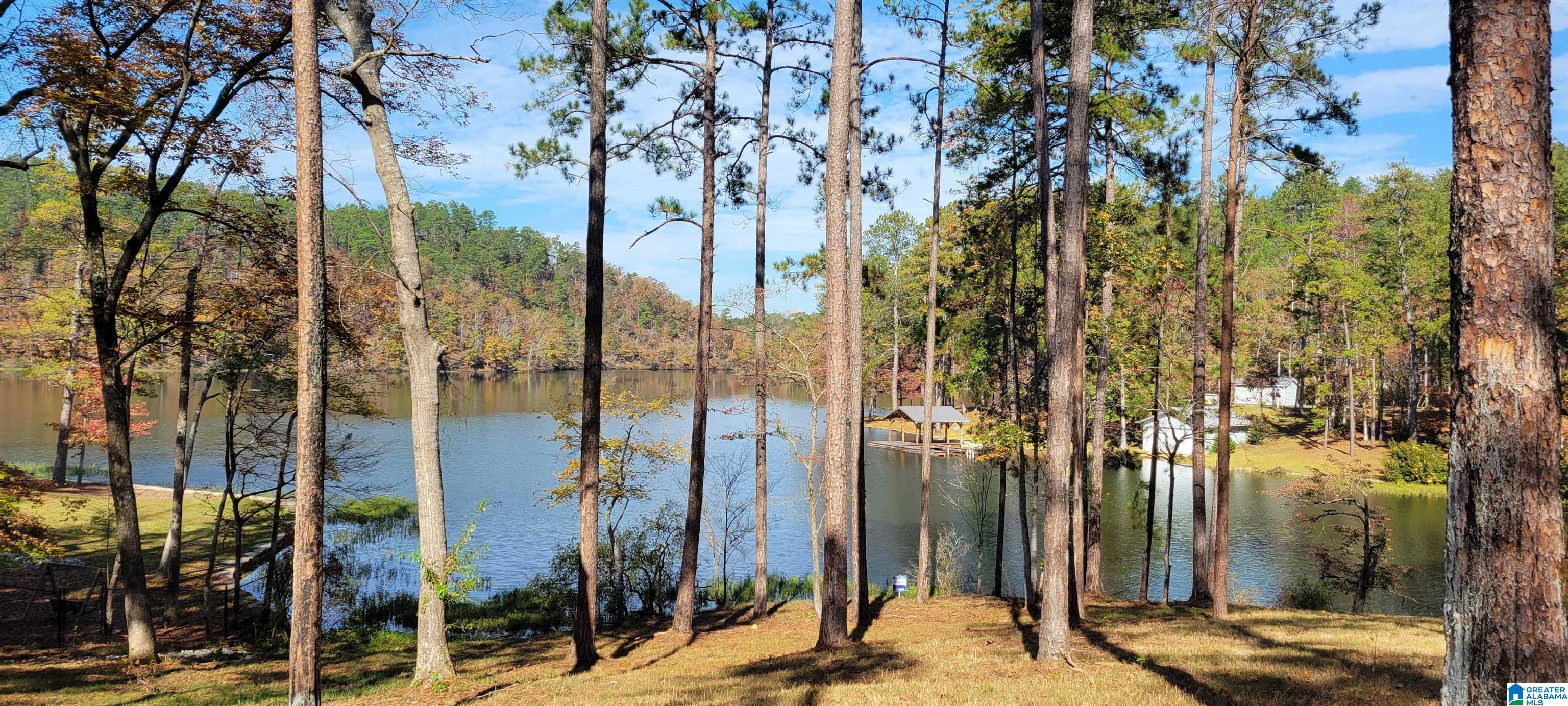 1830 Mimosa Point Road, Unit 1 Rockford, AL 35136 - Photo 9 of 24
