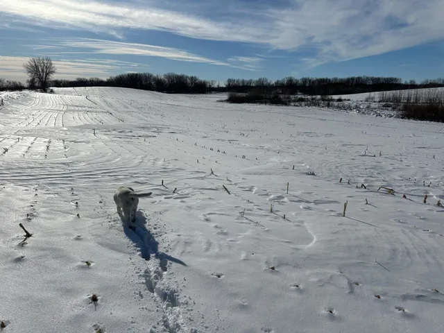 $285,000 | 10 Co Highway 10, Elizabeth, MN 56533