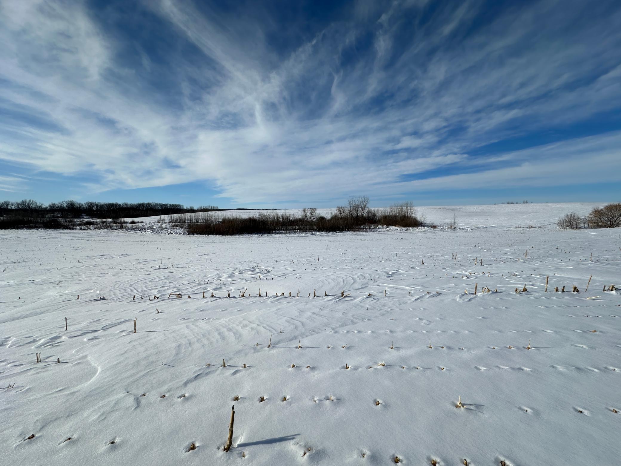 10 Co Highway 10 Elizabeth, MN 56533 - Photo 5 of 14