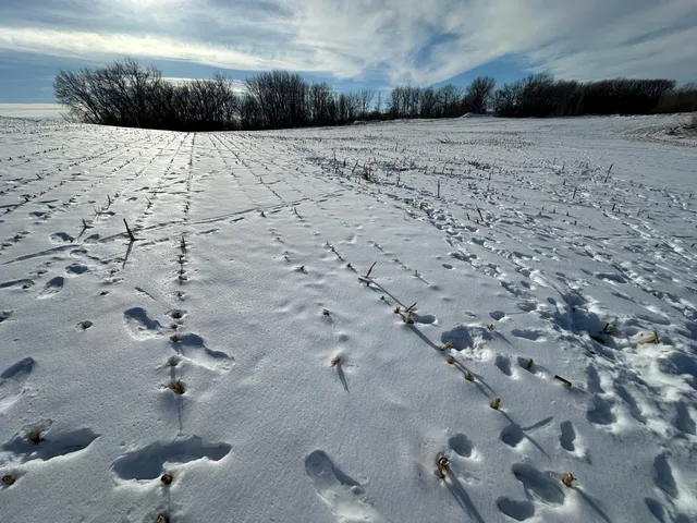 $285,000 | 10 Co Highway 10, Elizabeth, MN 56533