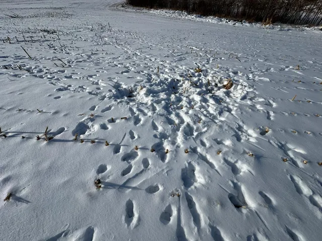 $285,000 | 10 Co Highway 10, Elizabeth, MN 56533