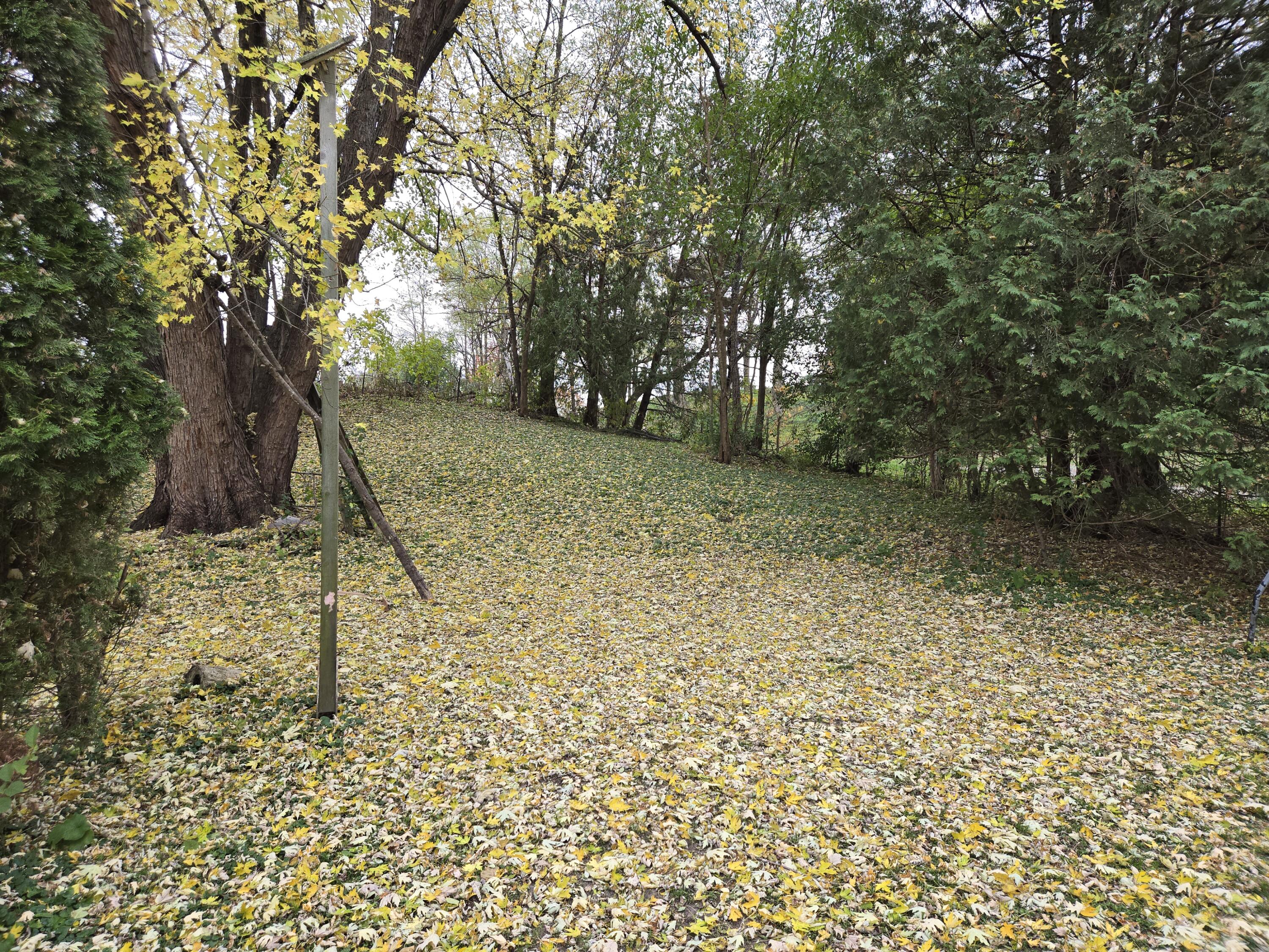 S3575 County Road P Buffalo, WI 54629 - Photo 16 of 16 Backyard 2